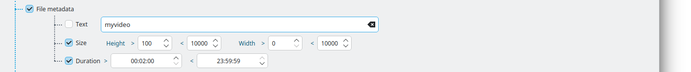 File metadata criteria section showing text, image dimensions and duration fields